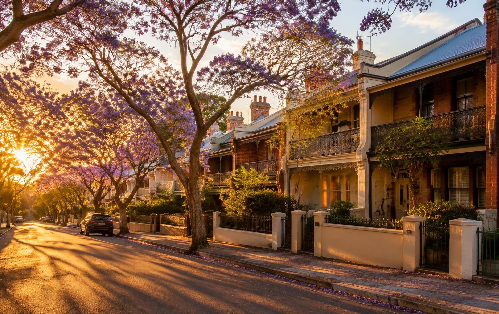 Sydney terrace street with jacaranda trees